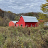 Single - Driftless Area Fly Fishing